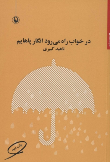 تصویر  در خواب راه می رود انگار پاهایم (مجموعه شعر)